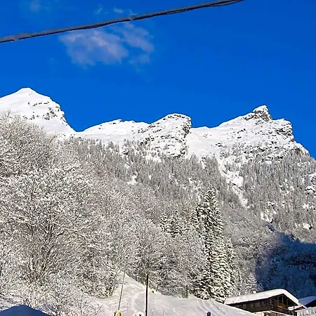 Genzianella Alagna Valsesia