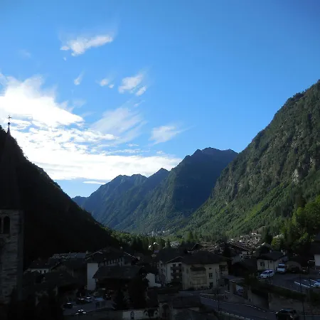 Genzianella Alagna Valsesia